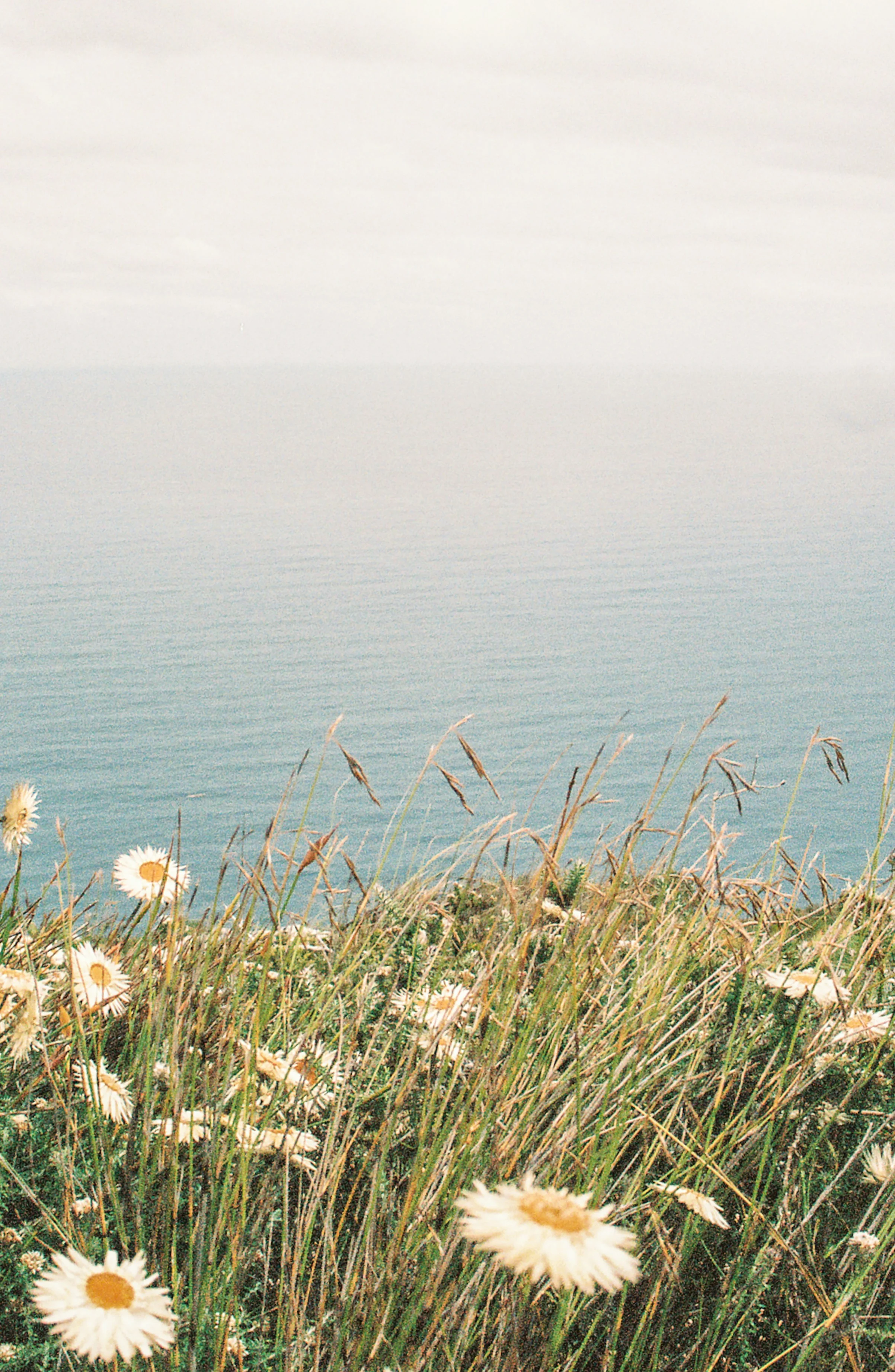 Wilderness beach