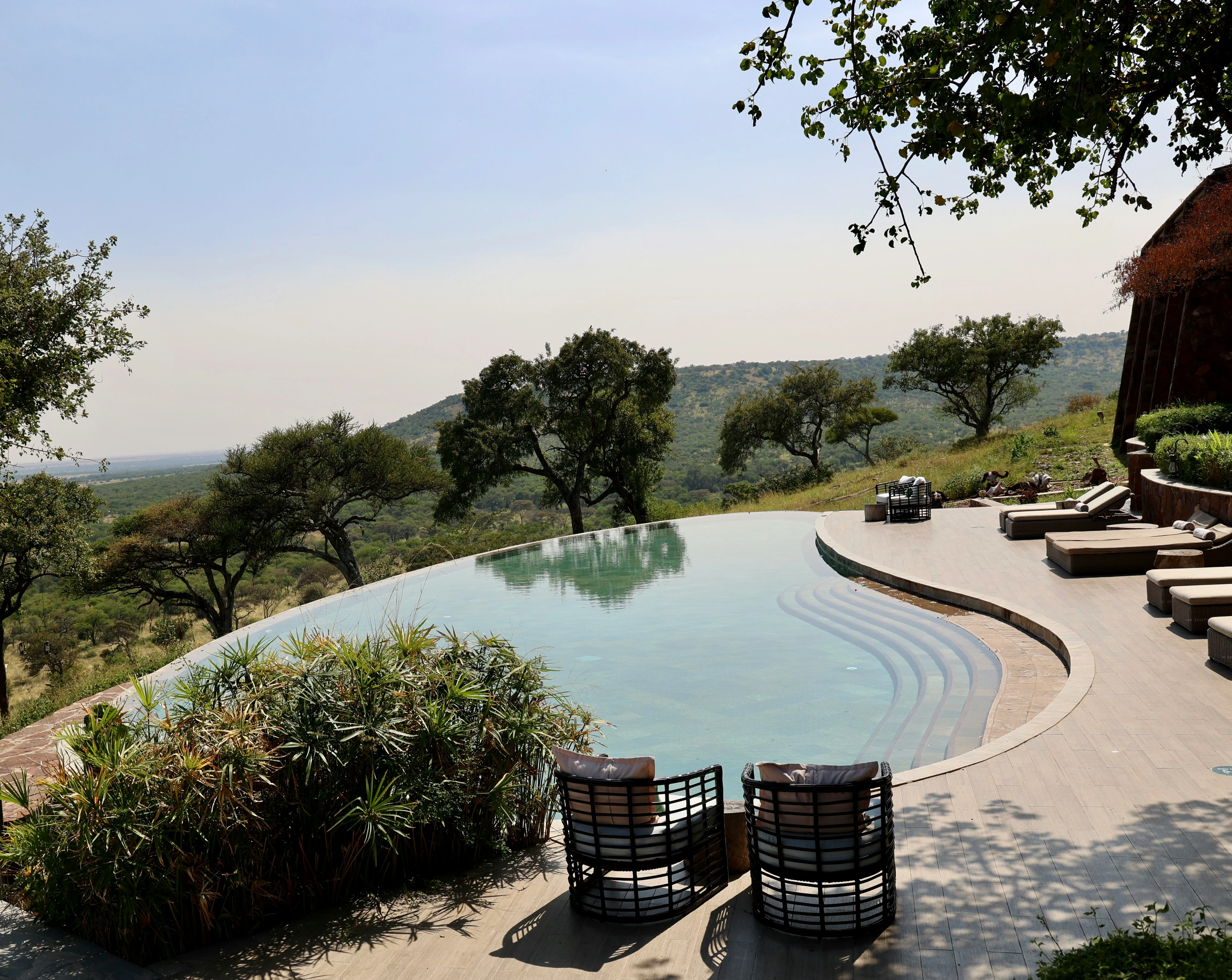 The infinity pool looking over the bushveld