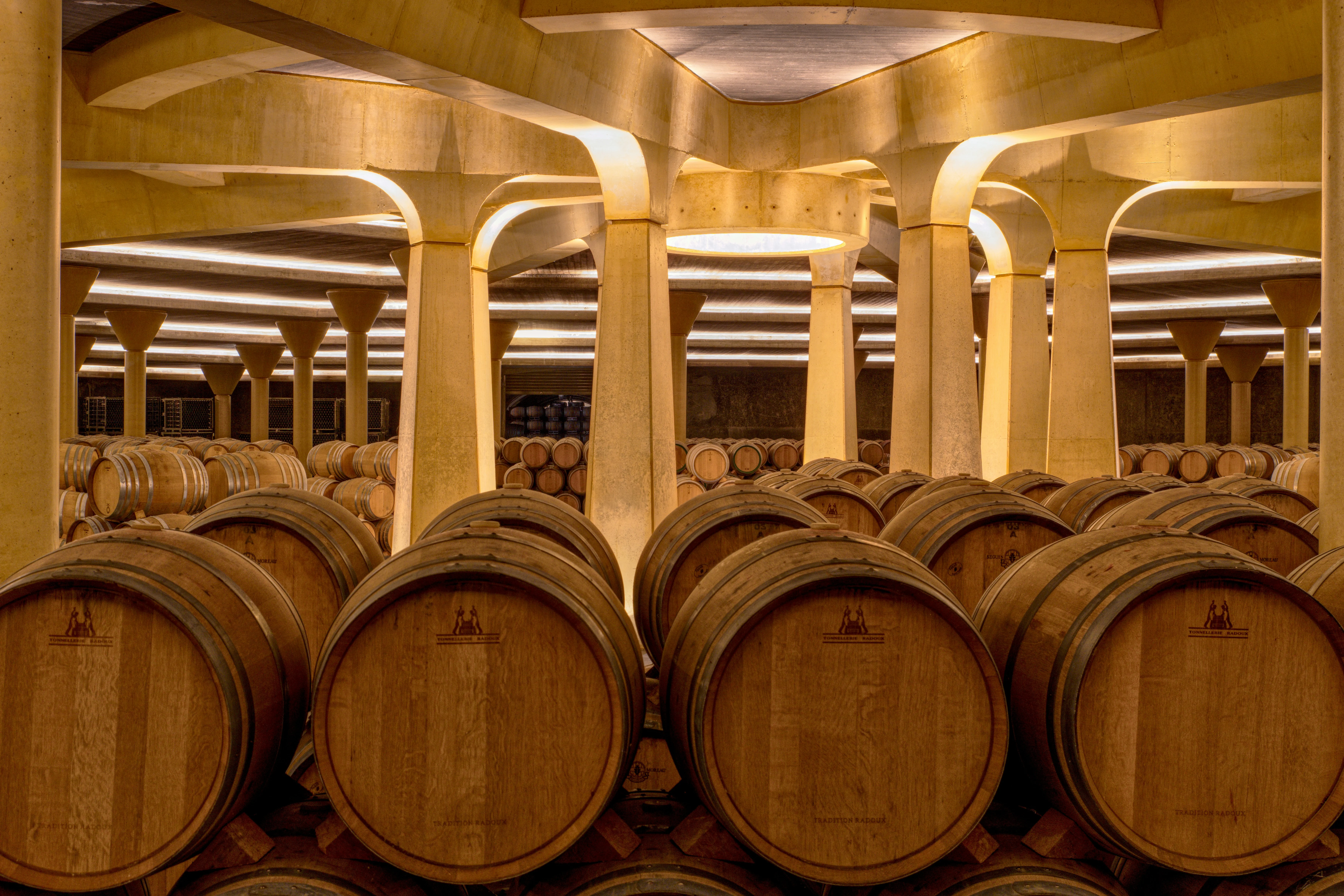 Cellar & Vineyard Tour