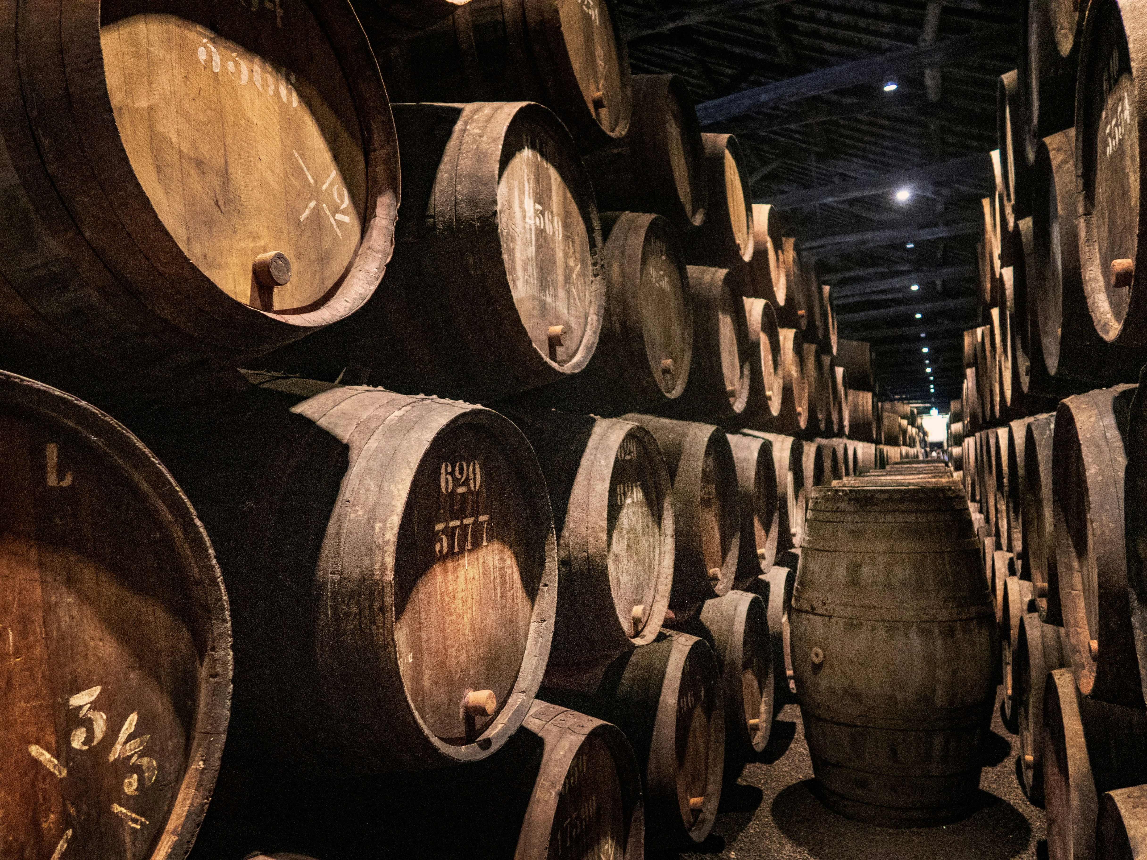 Barrels in the maturation cellar
