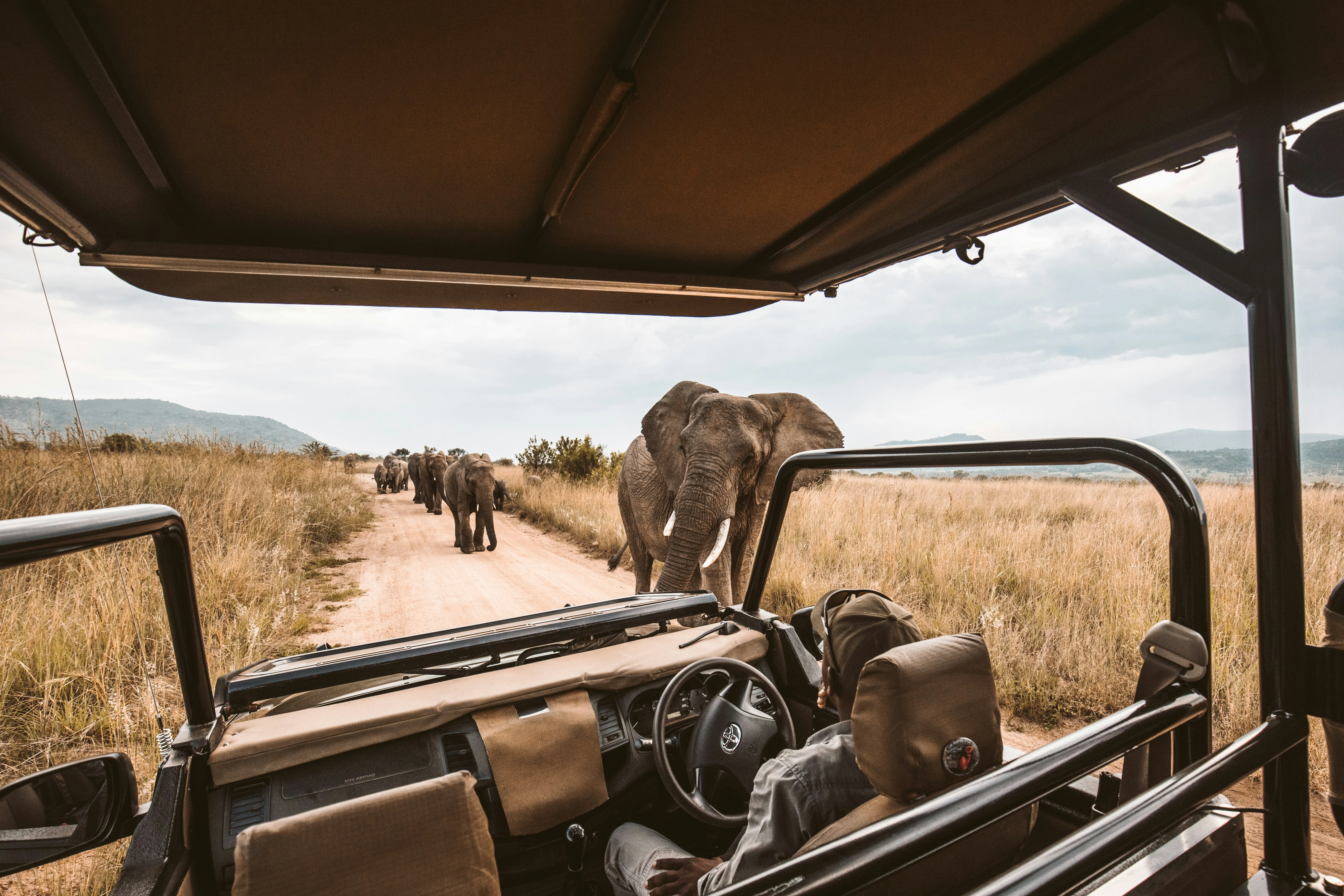 Safari Lodge template preview