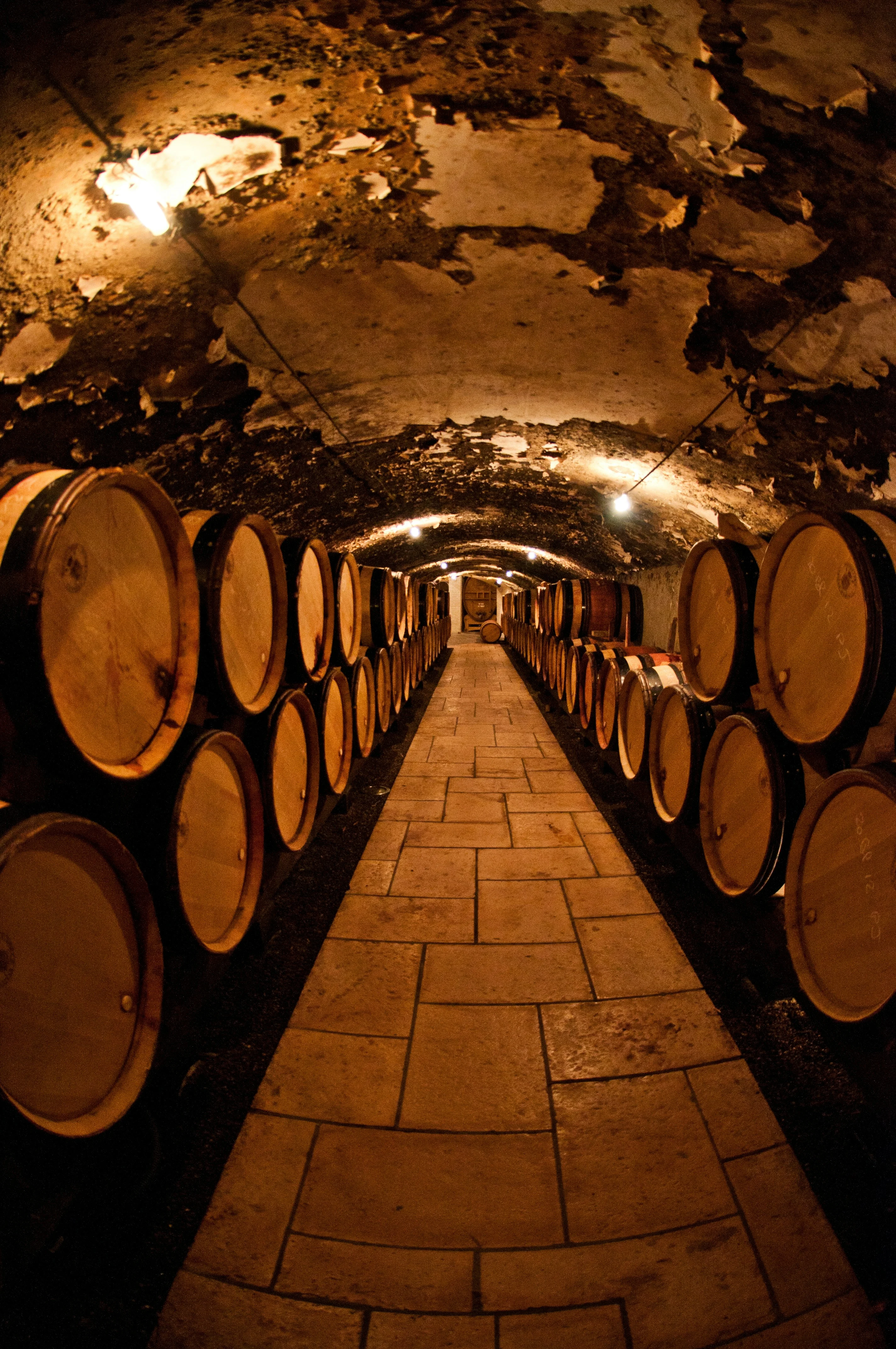 In the cellar, just after racking